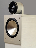 175er Görlich mit ScanSpeak Ringradiator